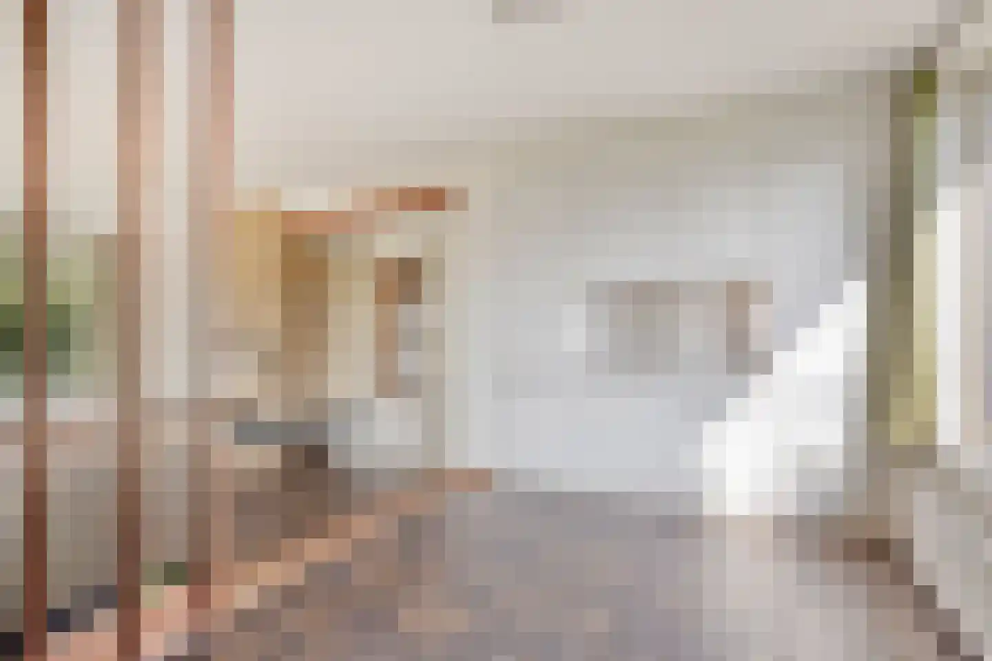 Tjitze de Boerstrjitte 23 Wirdum thumbnail 20