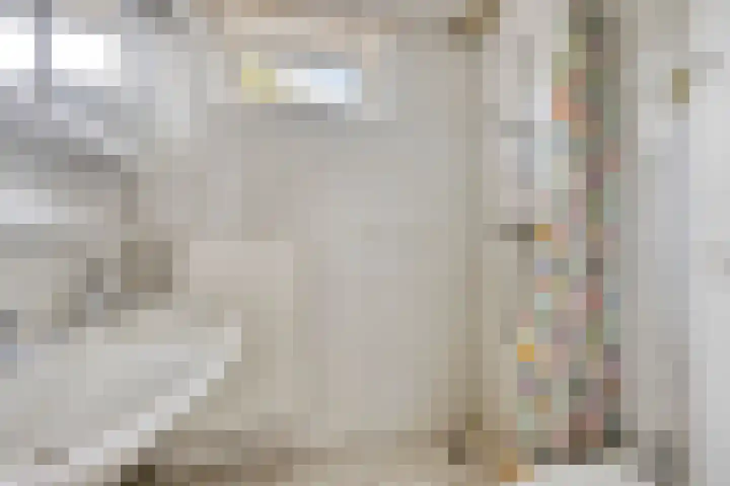 Tjitze de Boerstrjitte 23 Wirdum thumbnail 29
