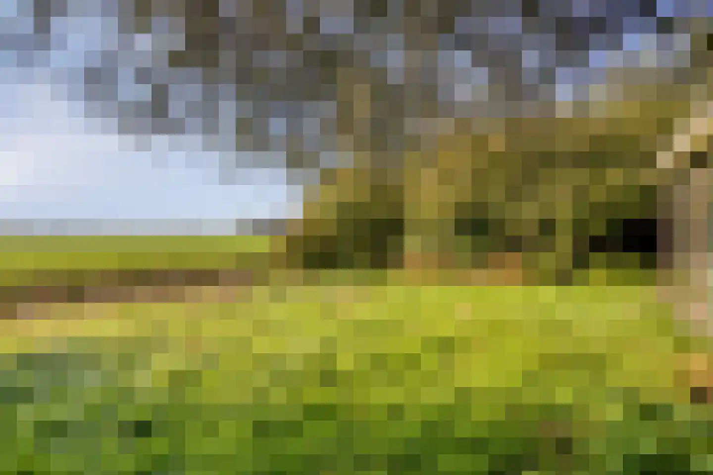 Tjitze de Boerstrjitte 23 Wirdum foto 3