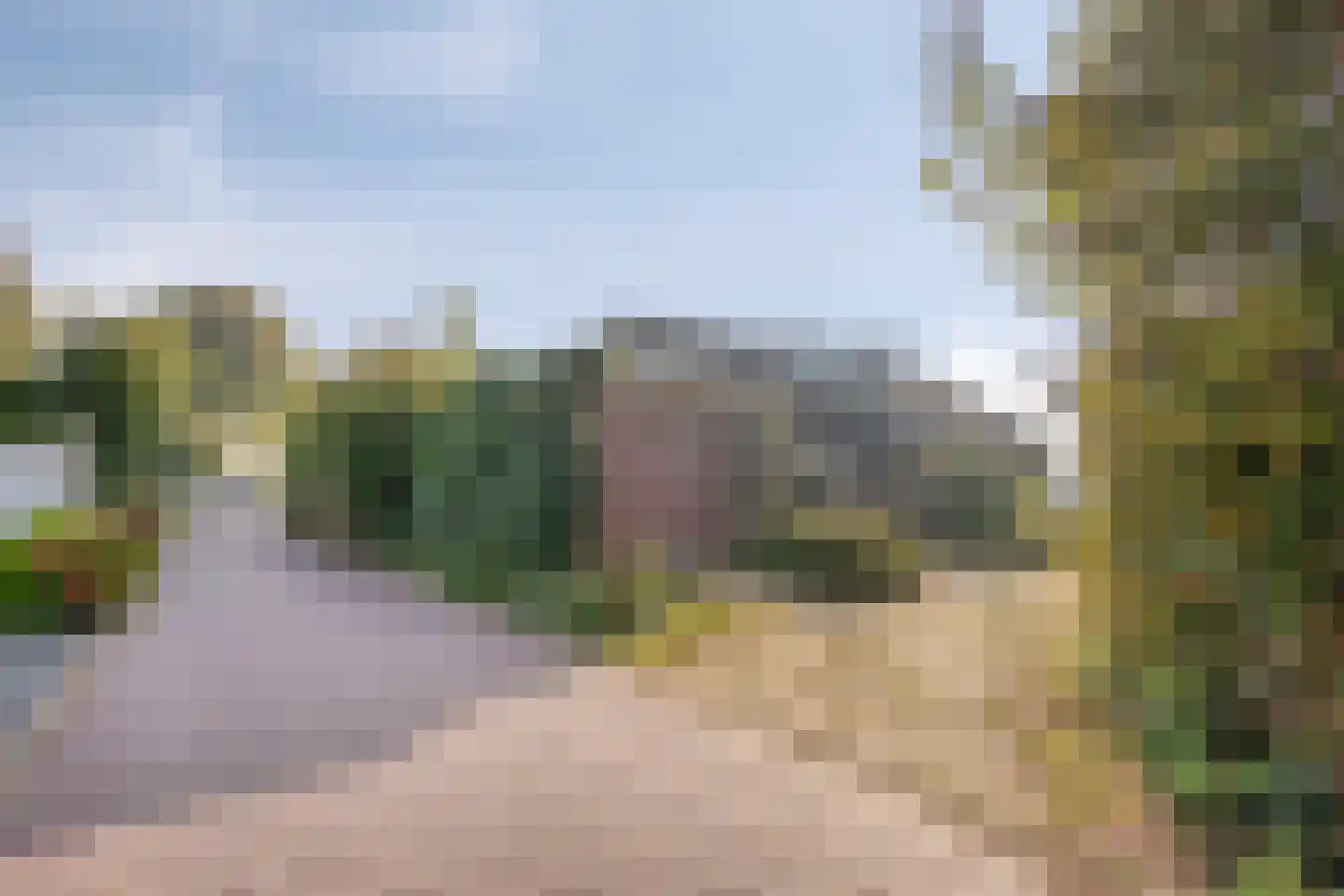 Tjitze de Boerstrjitte 23 Wirdum thumbnail 42