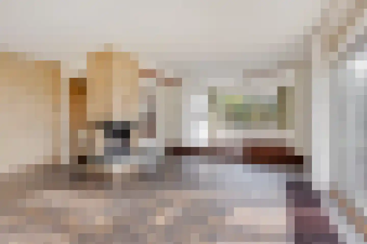 Tjitze de Boerstrjitte 23 Wirdum thumbnail 5