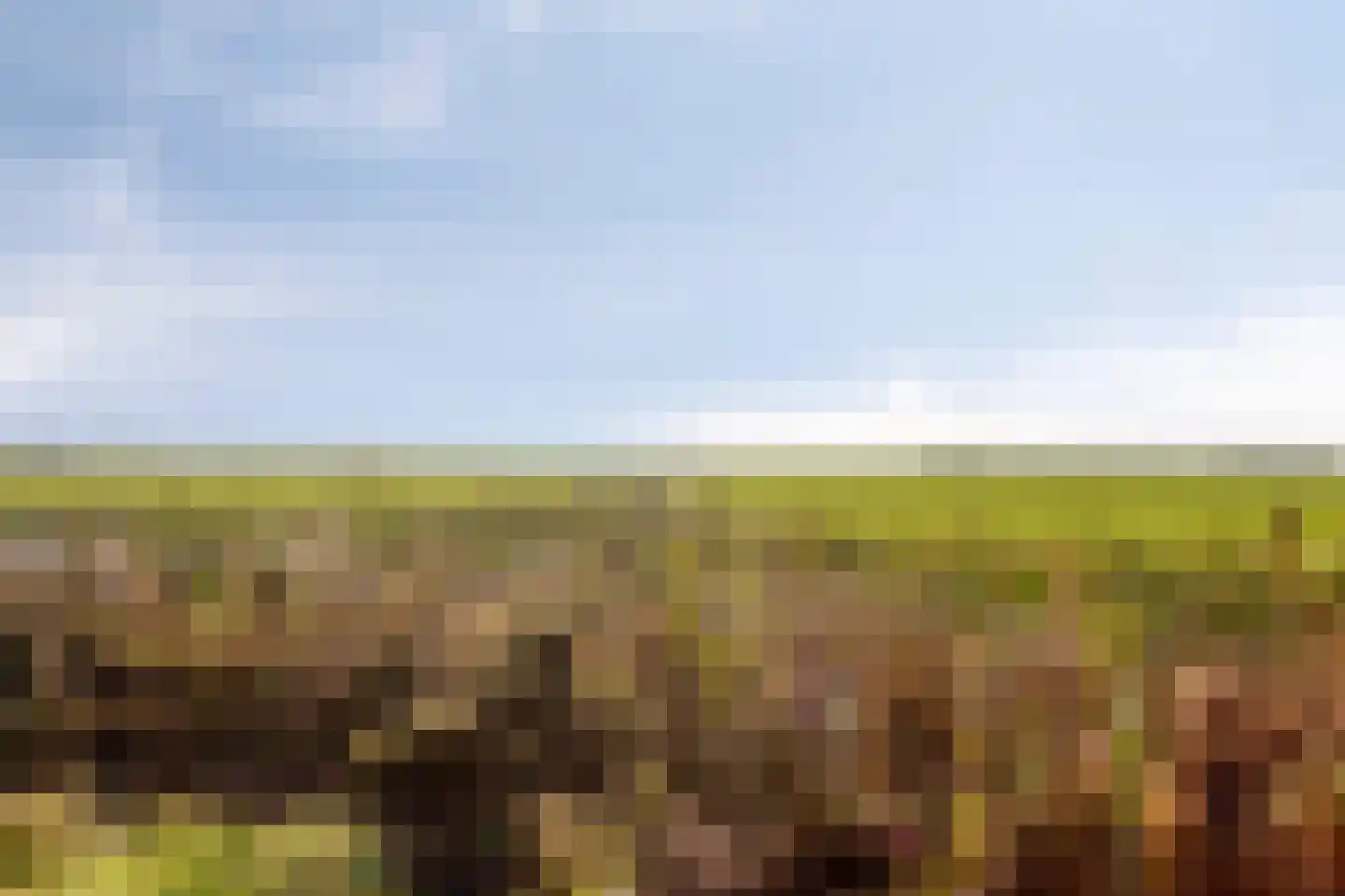 Tjitze de Boerstrjitte 23 Wirdum thumbnail 7