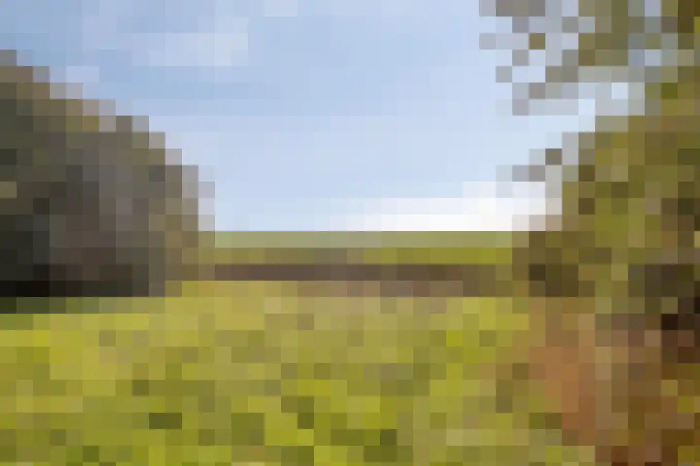 Tjitze de Boerstrjitte 23 Wirdum thumbnail 8