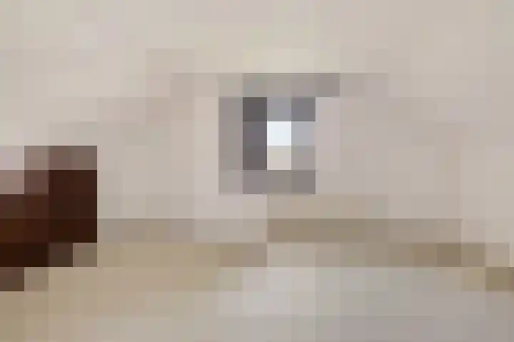 Tjitze de Boerstrjitte 5 Wirdum thumbnail 29