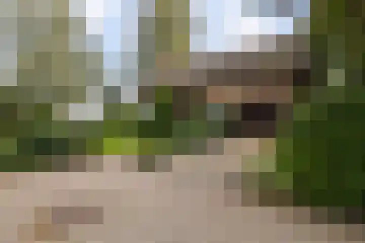 Tjitze de Boerstrjitte 5 Wirdum foto 3