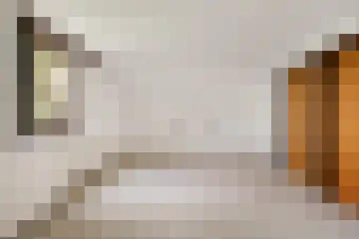 Tjitze de Boerstrjitte 5 Wirdum thumbnail 31