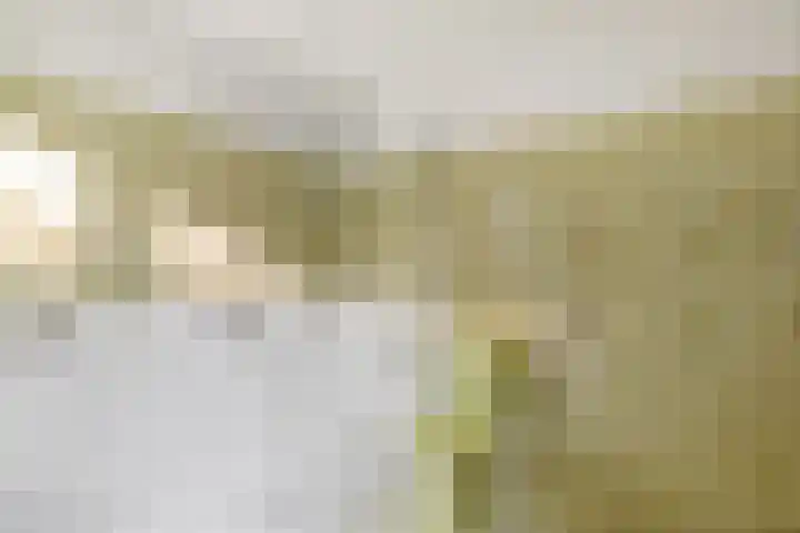 Tjitze de Boerstrjitte 5 Wirdum thumbnail 33
