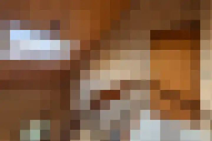 Tjitze de Boerstrjitte 5 Wirdum thumbnail 39