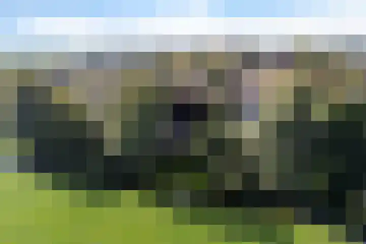 Tjitze de Boerstrjitte 5 Wirdum thumbnail 41