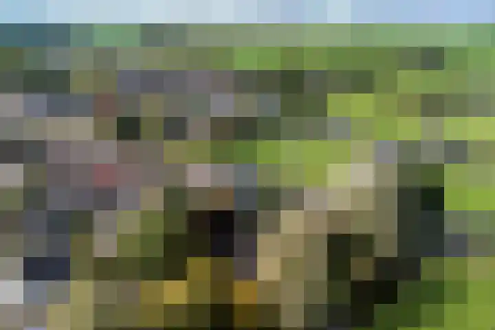 Tjitze de Boerstrjitte 5 Wirdum thumbnail 42