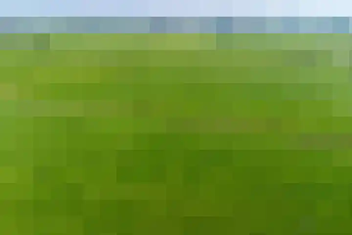 Tjitze de Boerstrjitte 5 Wirdum thumbnail 45