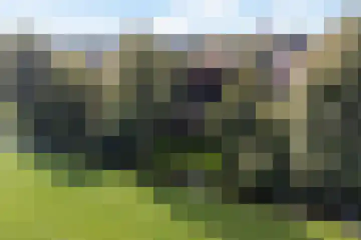 Tjitze de Boerstrjitte 5 Wirdum thumbnail 46