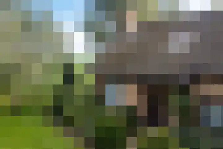 Tjitze de Boerstrjitte 5 Wirdum thumbnail 51