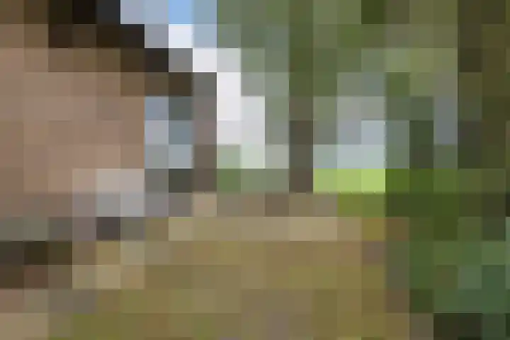 Tjitze de Boerstrjitte 5 Wirdum thumbnail 55