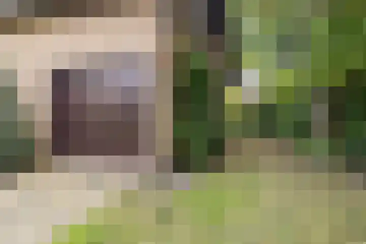 Tjitze de Boerstrjitte 5 Wirdum thumbnail 56