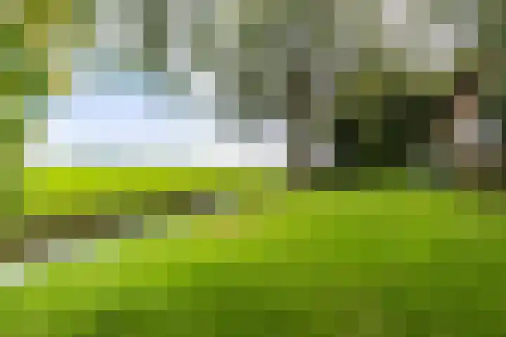 Tjitze de Boerstrjitte 5 Wirdum thumbnail 6