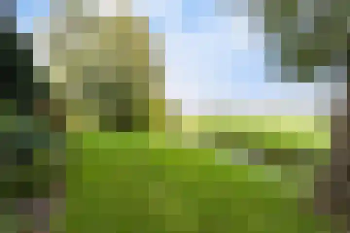 Tjitze de Boerstrjitte 5 Wirdum thumbnail 7