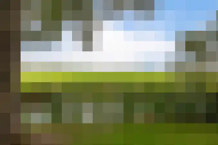 Tjitze de Boerstrjitte 5 Wirdum thumbnail 8