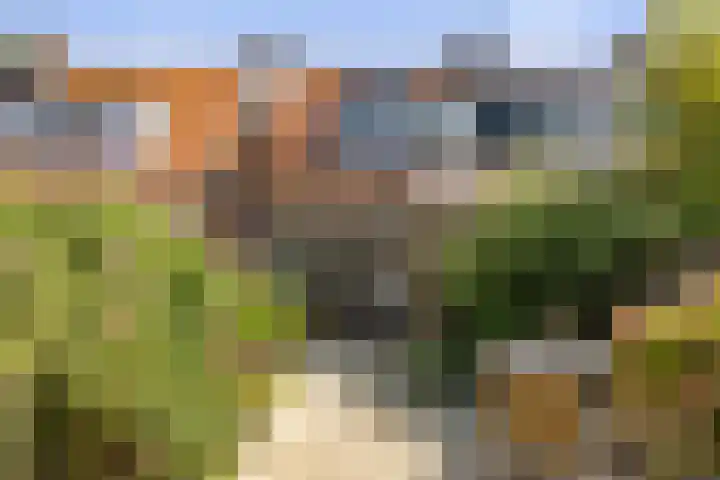 Tjoenerstraat 18 Deventer thumbnail 20