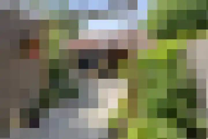 Tjoenerstraat 18 Deventer thumbnail 22
