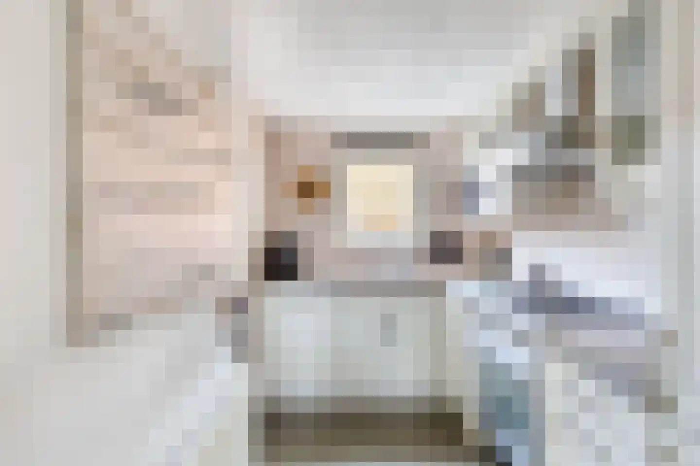 Tjoenerstraat 4 Deventer thumbnail 8