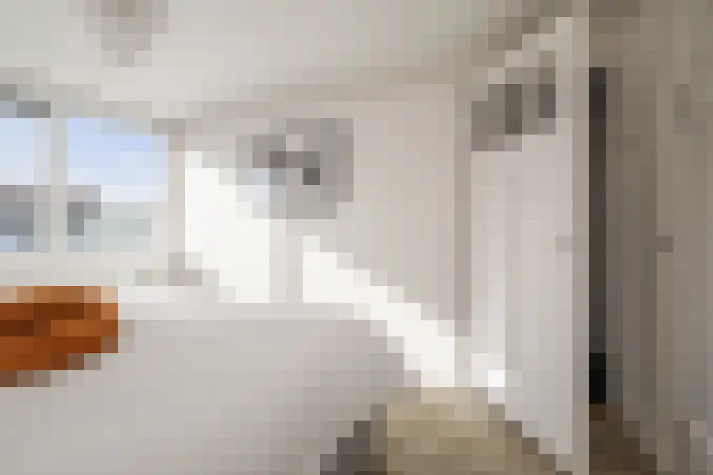 Tjoenerstraat 60 Deventer thumbnail 24