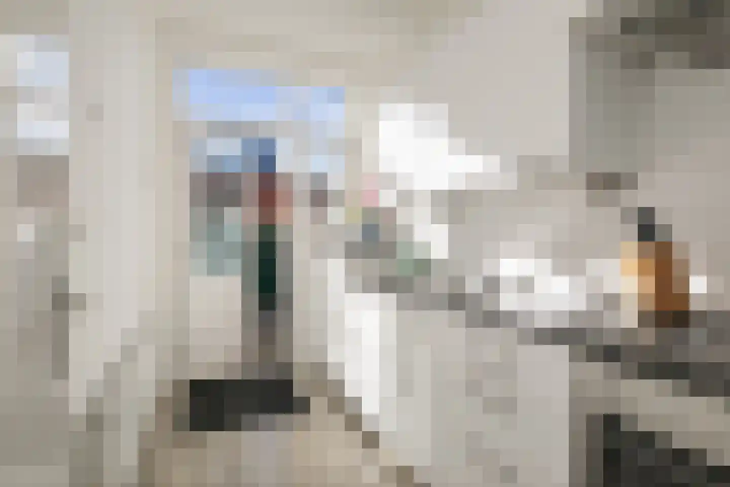 Tjoenerstraat 60 Deventer thumbnail 4