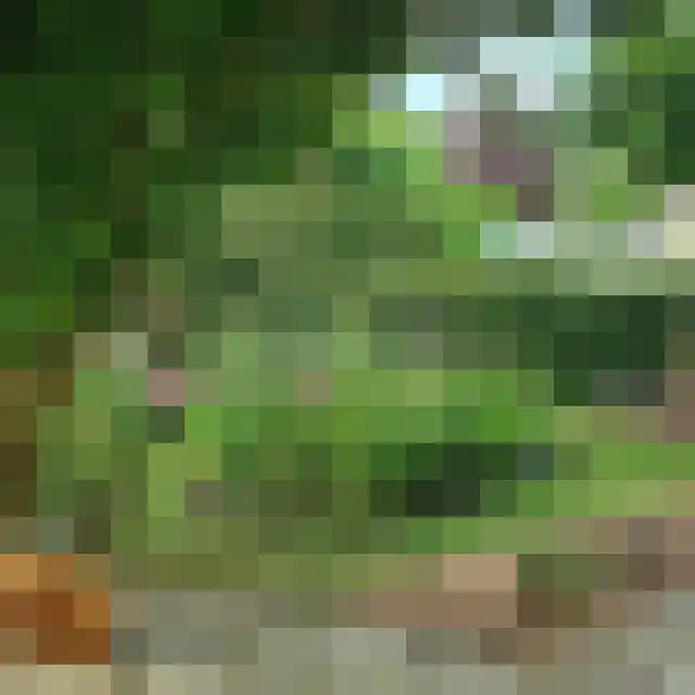 Tjonger 111 Drachten thumbnail 14