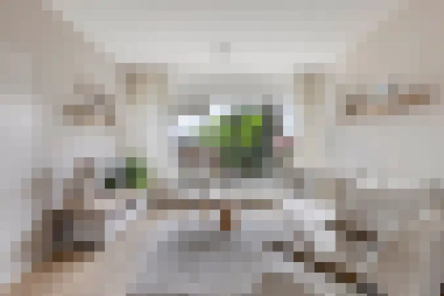 Tjonger 111 Drachten thumbnail 21