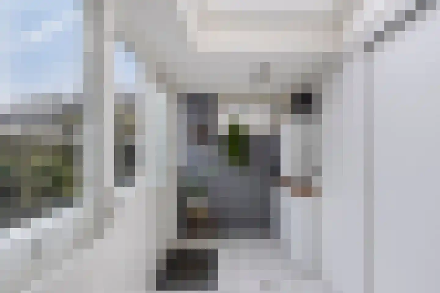 Tjonger 111 Drachten thumbnail 30