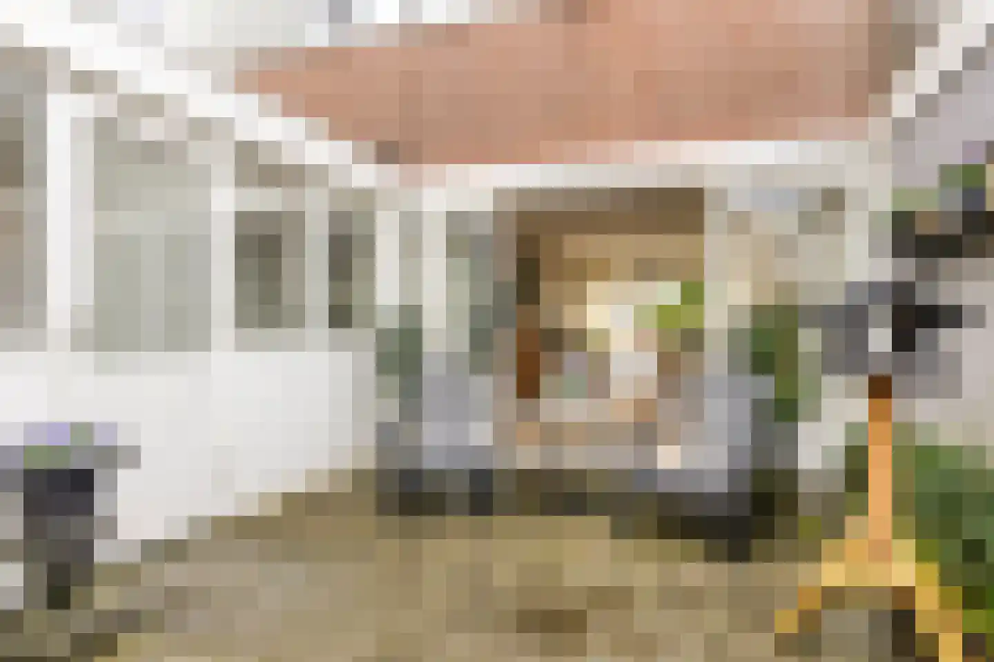 Tjonger 111 Drachten thumbnail 45