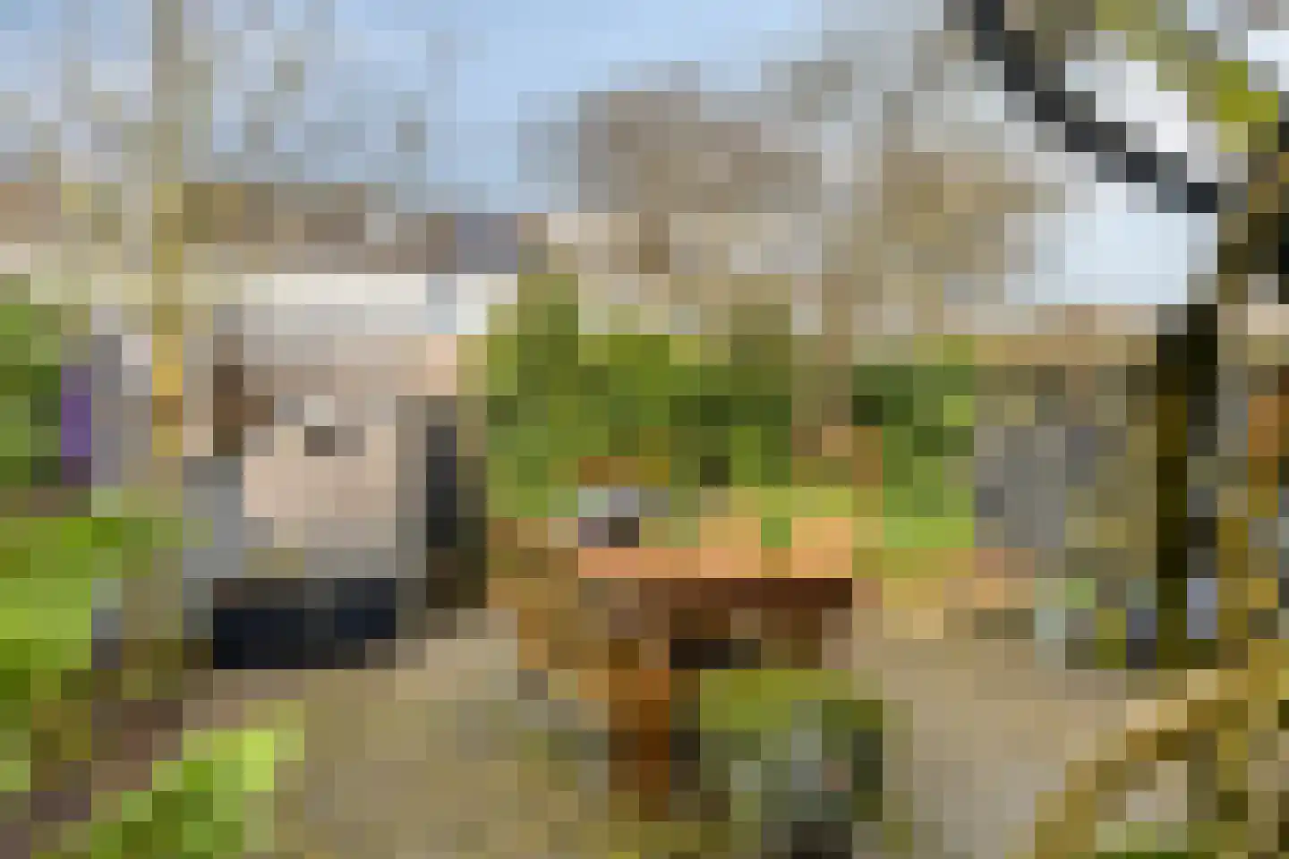 Tjonger 111 Drachten thumbnail 46
