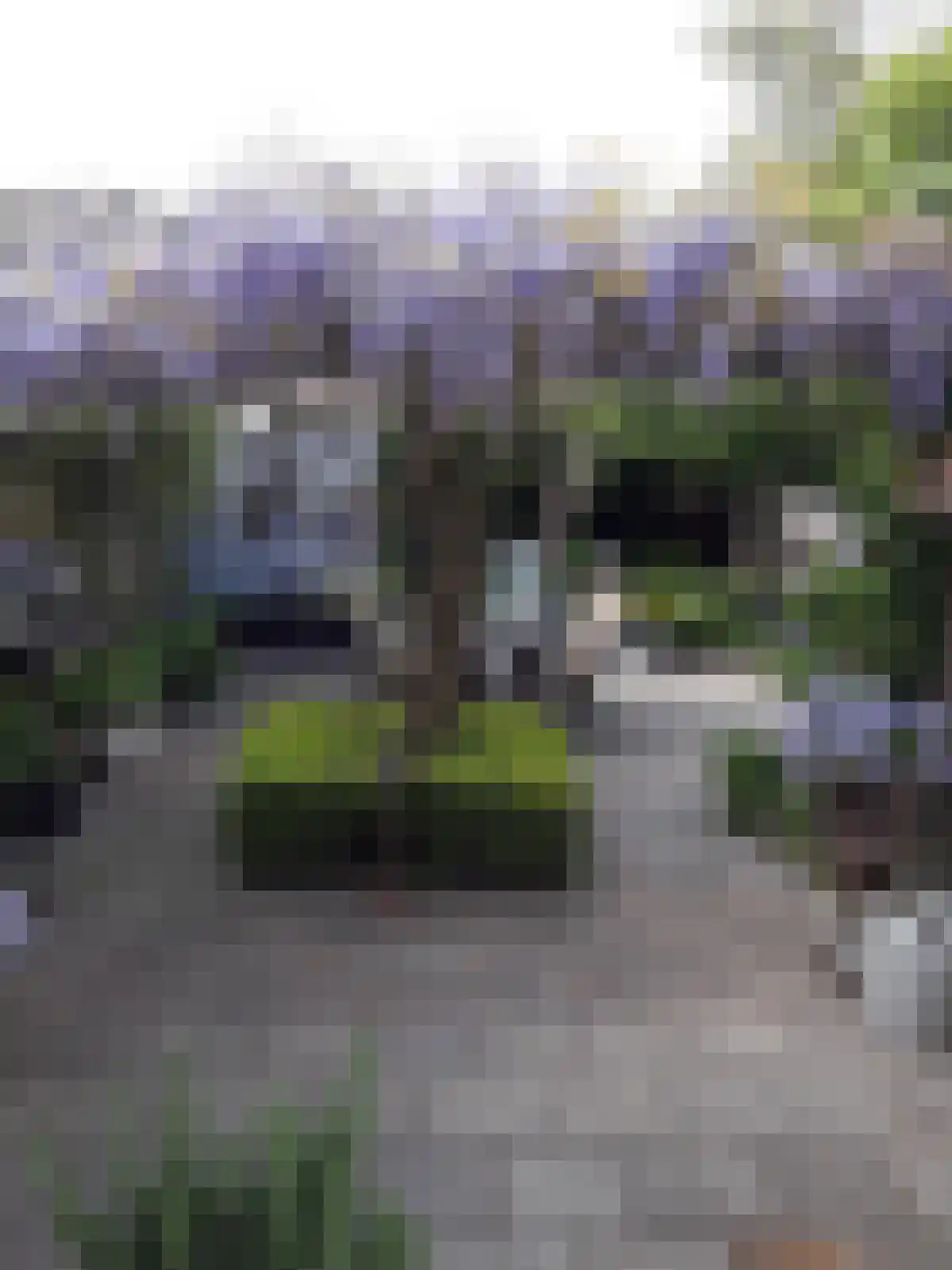 Tjonger 111 Drachten thumbnail 49