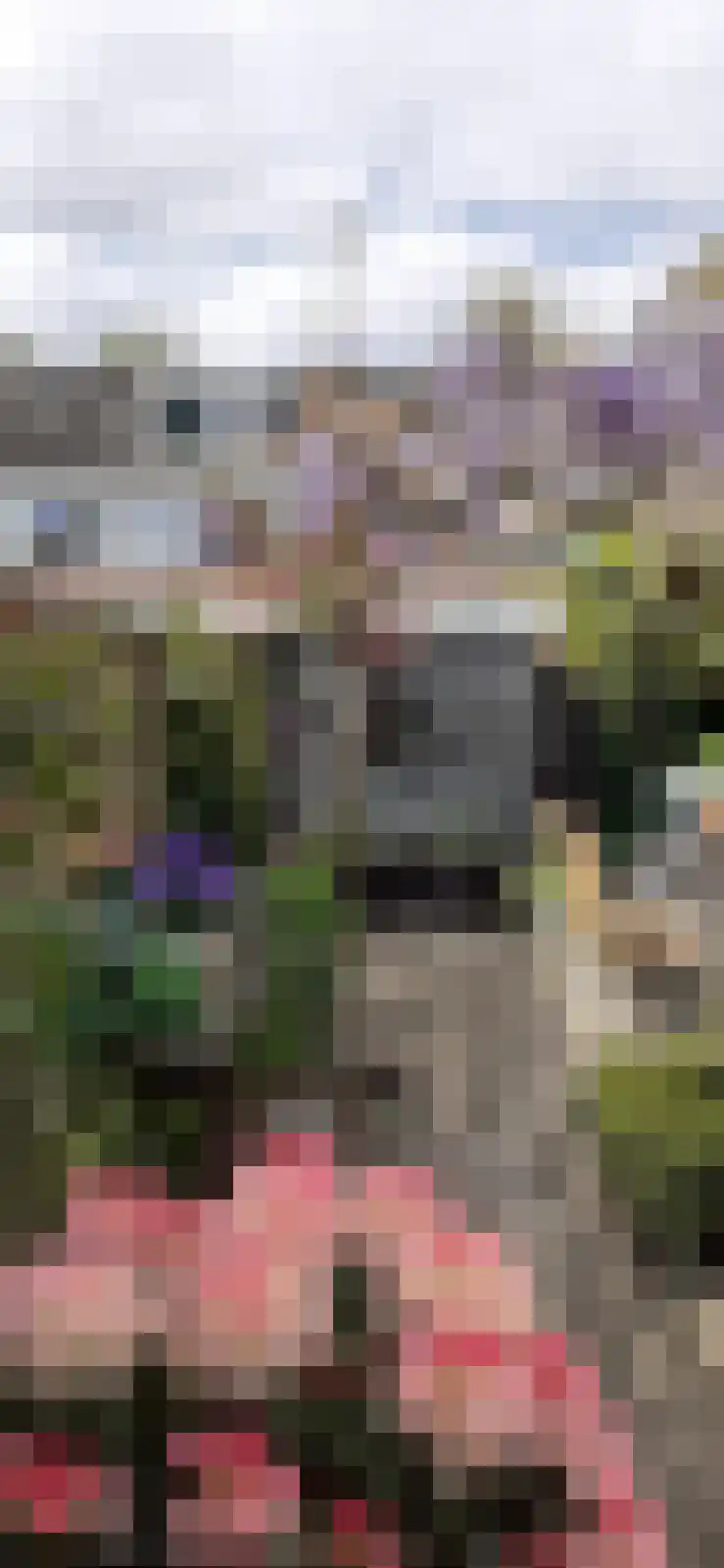 Tjonger 111 Drachten thumbnail 50