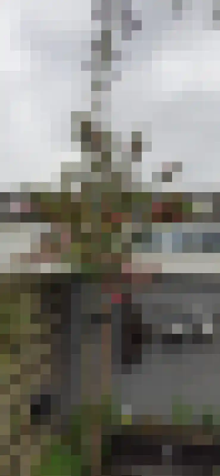 Tjonger 111 Drachten thumbnail 51