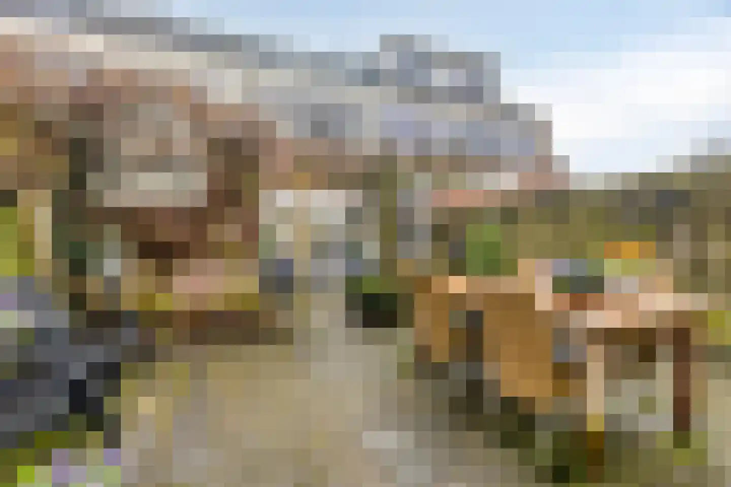 Tjonger 111 Drachten thumbnail 52