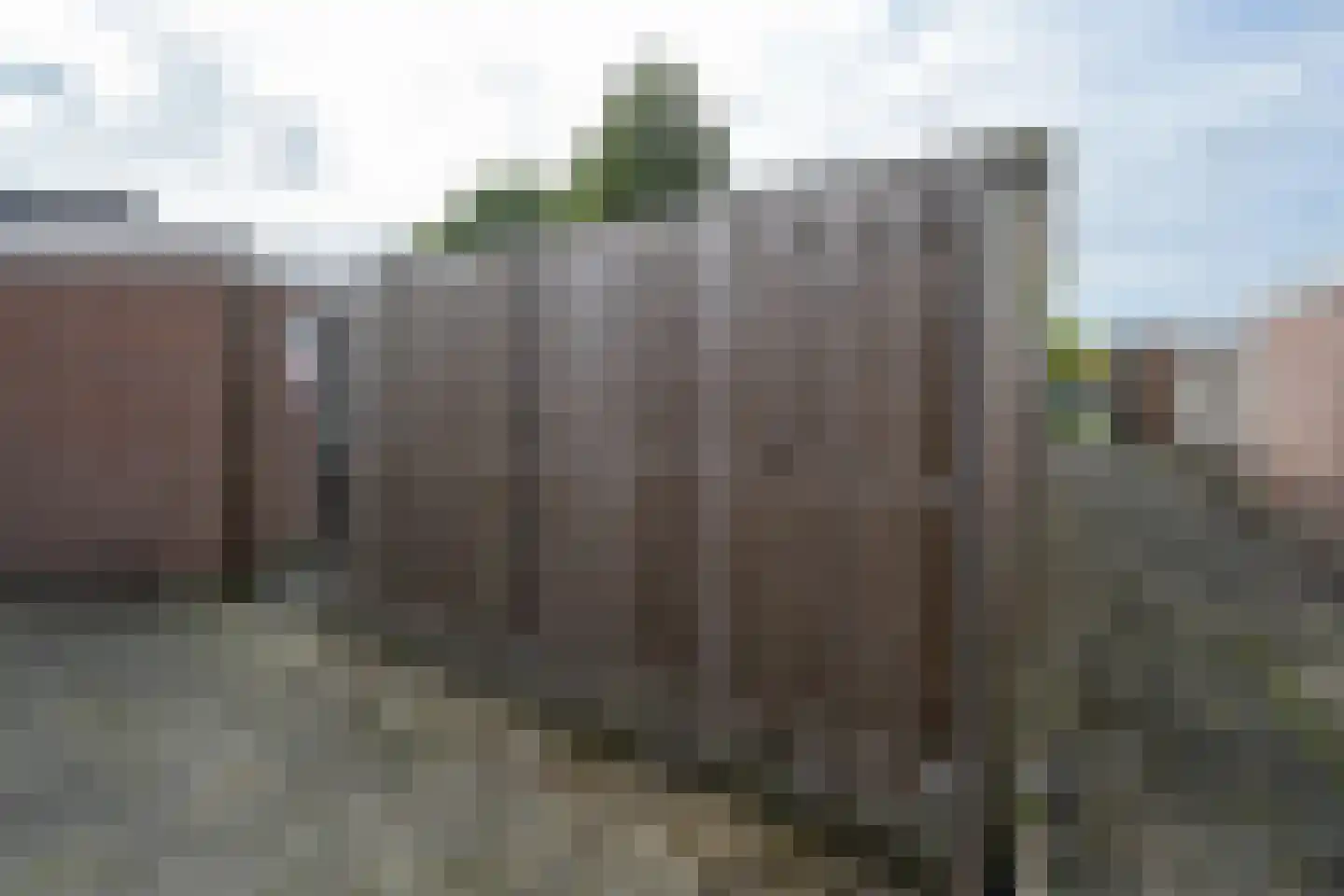 Tjonger 141 Drachten thumbnail 42