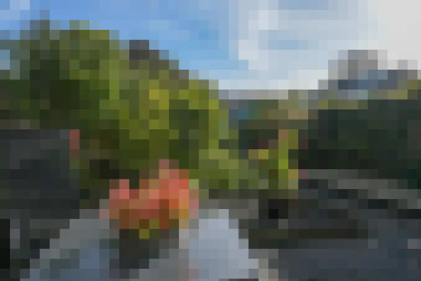 Tjonger 141 Drachten thumbnail 47