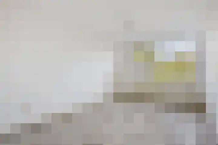 Tjonger 15 Rotterdam thumbnail 11