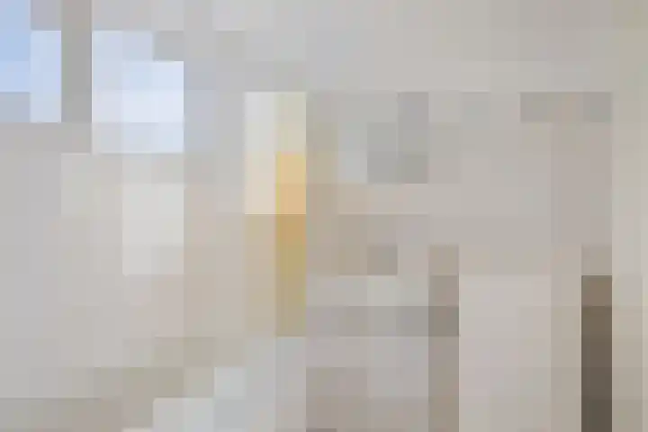 Tjonger 15 Rotterdam thumbnail 15