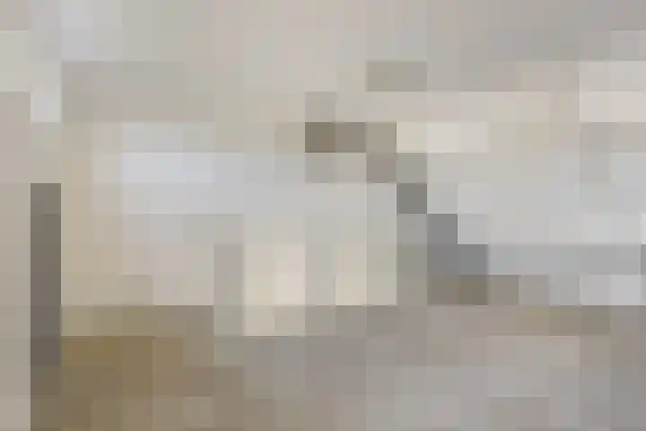 Tjonger 15 Rotterdam thumbnail 17