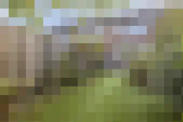 Tjonger 15 Rotterdam thumbnail 20