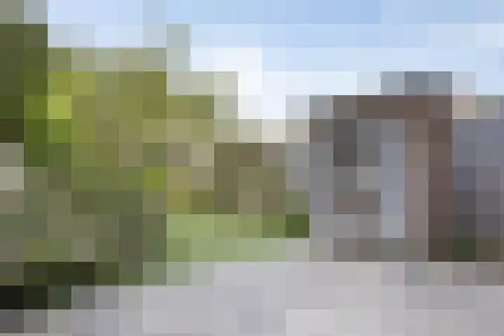 Tjonger 15 Rotterdam thumbnail 21