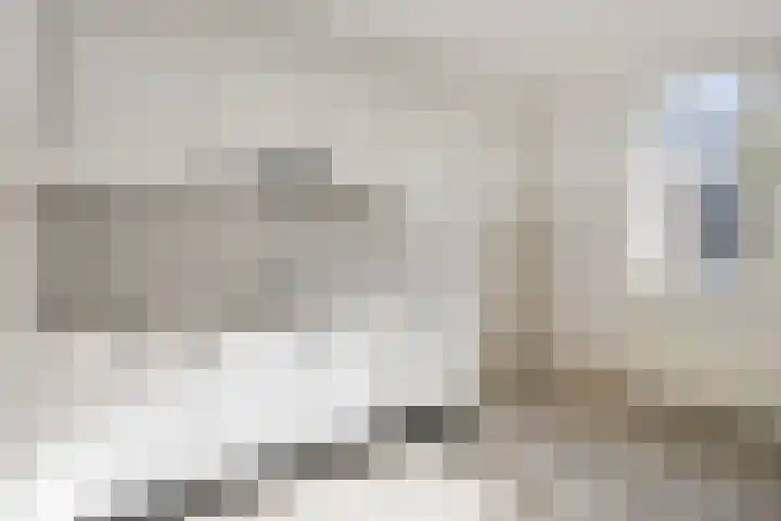 Tjonger 15 Rotterdam thumbnail 9