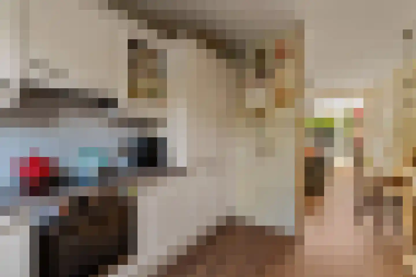 Tjonger 17 Rotterdam thumbnail 10