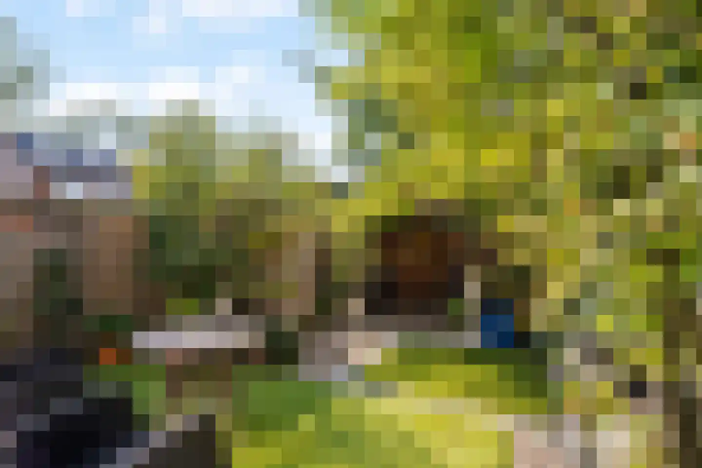 Tjonger 17 Rotterdam thumbnail 17