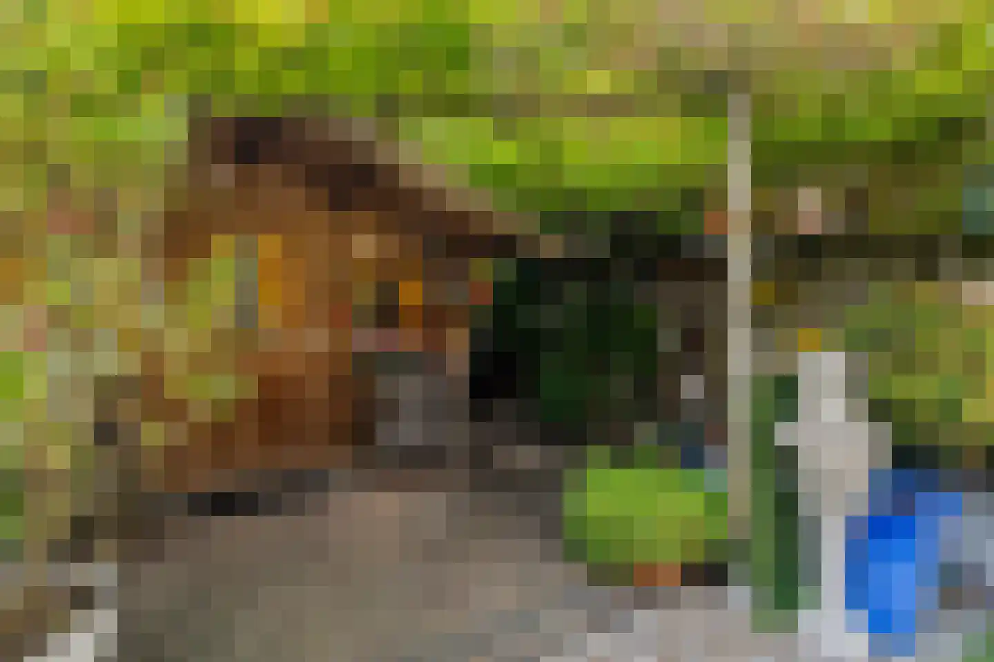 Tjonger 17 Rotterdam thumbnail 18