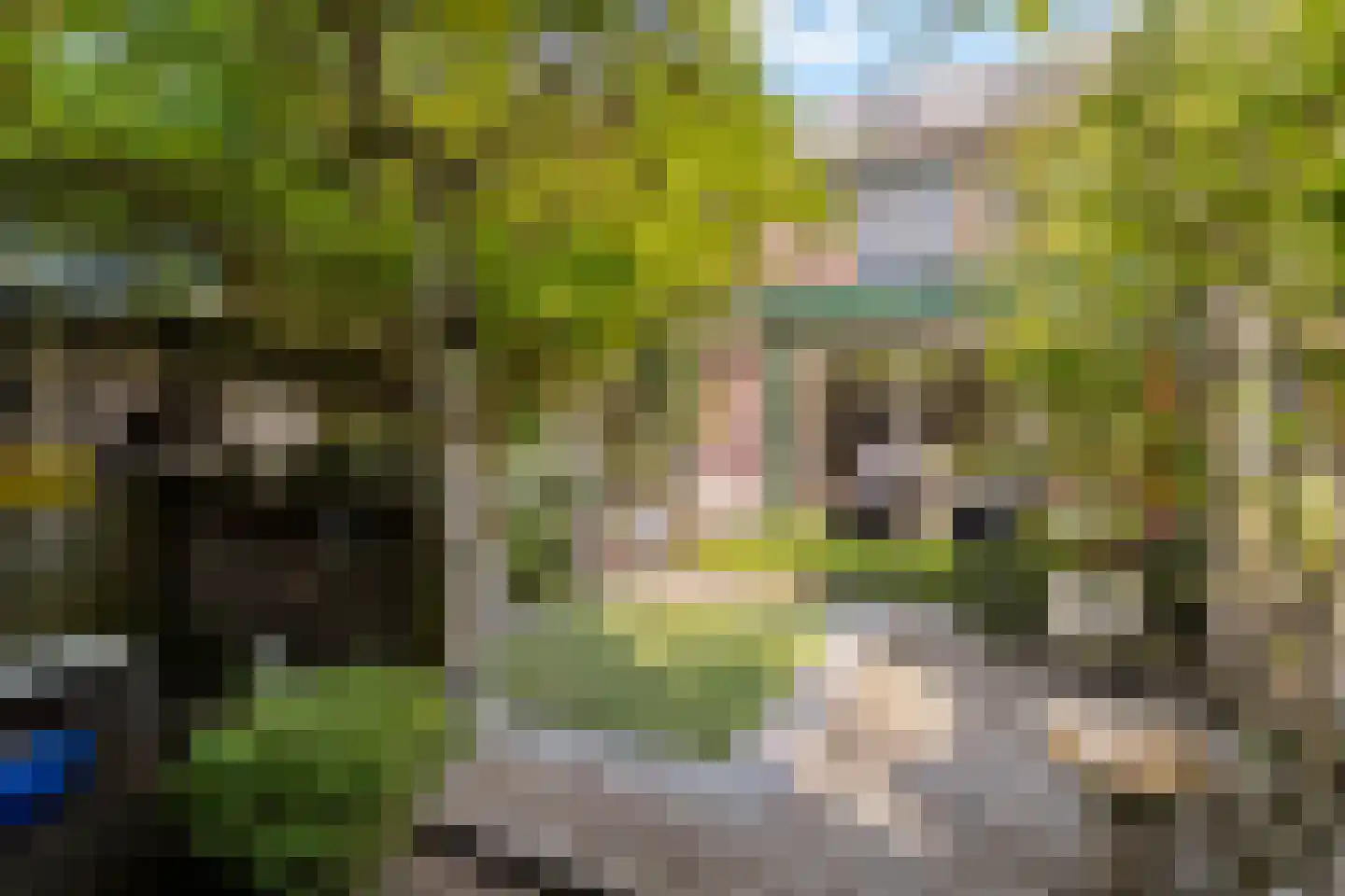 Tjonger 17 Rotterdam thumbnail 19