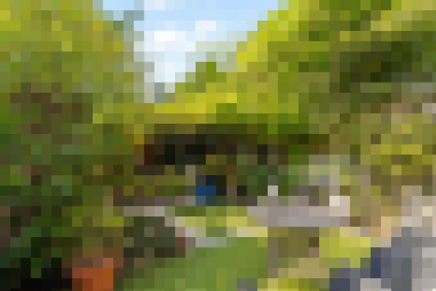 Tjonger 17 Rotterdam thumbnail 20