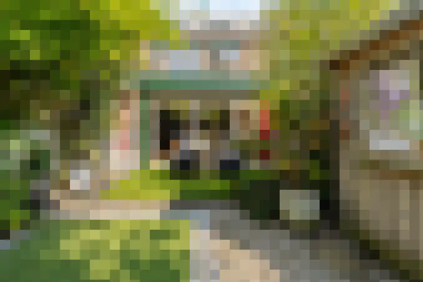 Tjonger 17 Rotterdam thumbnail 4